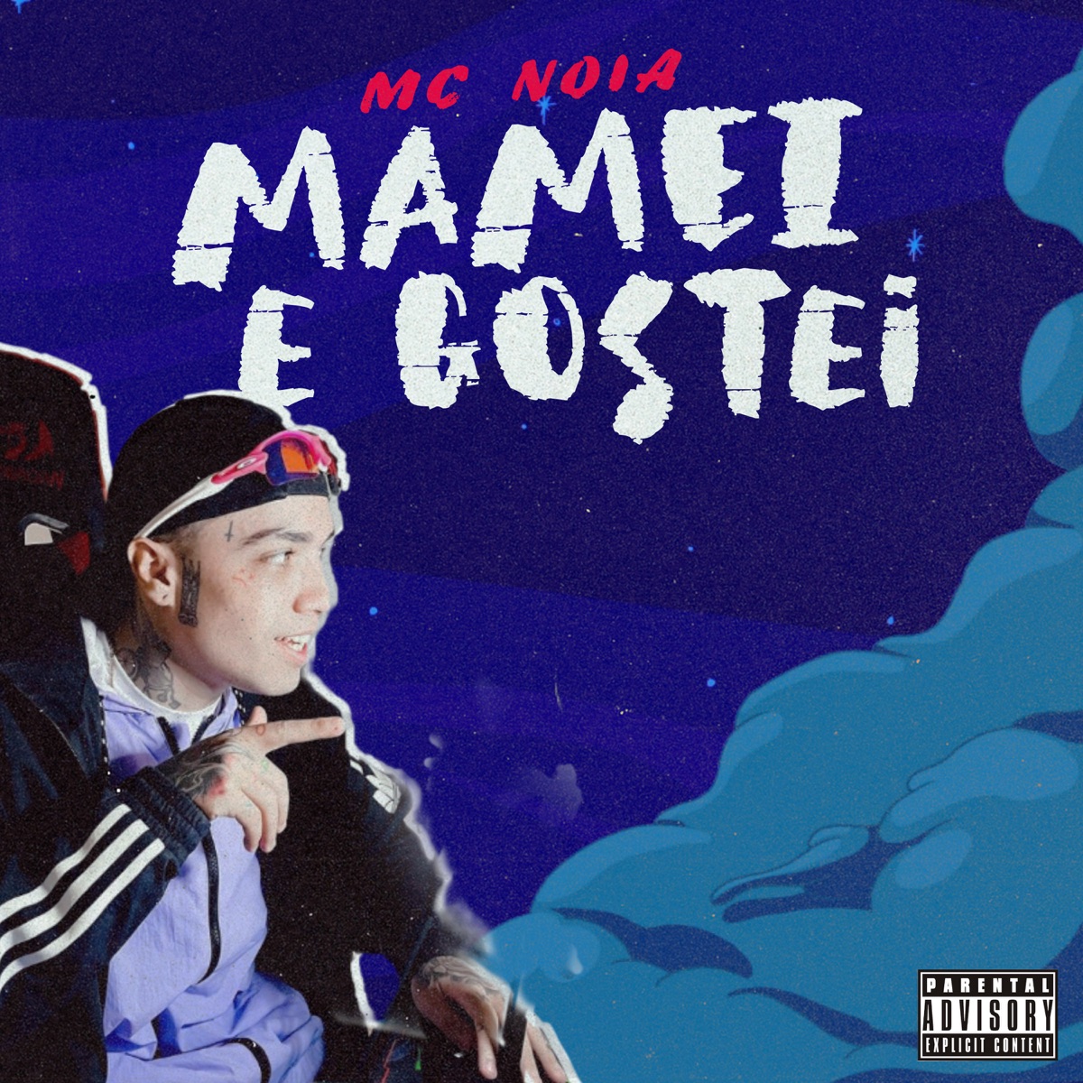 Mamei e Gostei - Single by Mc Noia album cover