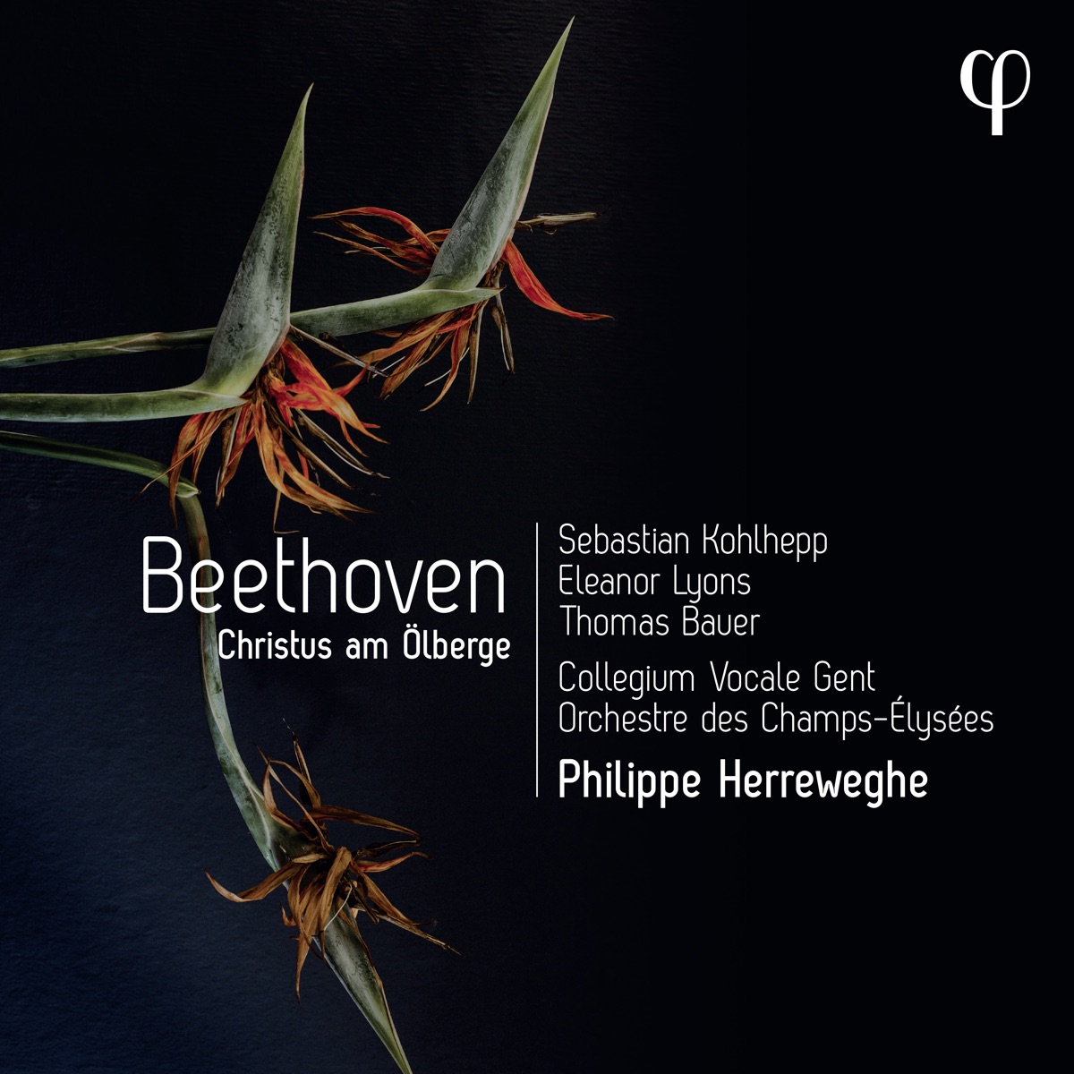 Beethoven: Christus am Ölberge by Philippe Herreweghe, Orchestre des Champs-Elysées, Sebastian Kohlhepp & Eleanor Lyons album cover