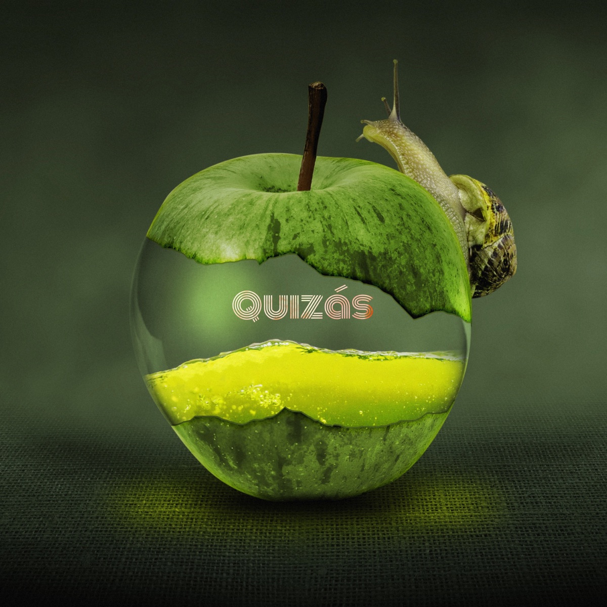 Quizás - Single by Zinzendero album cover