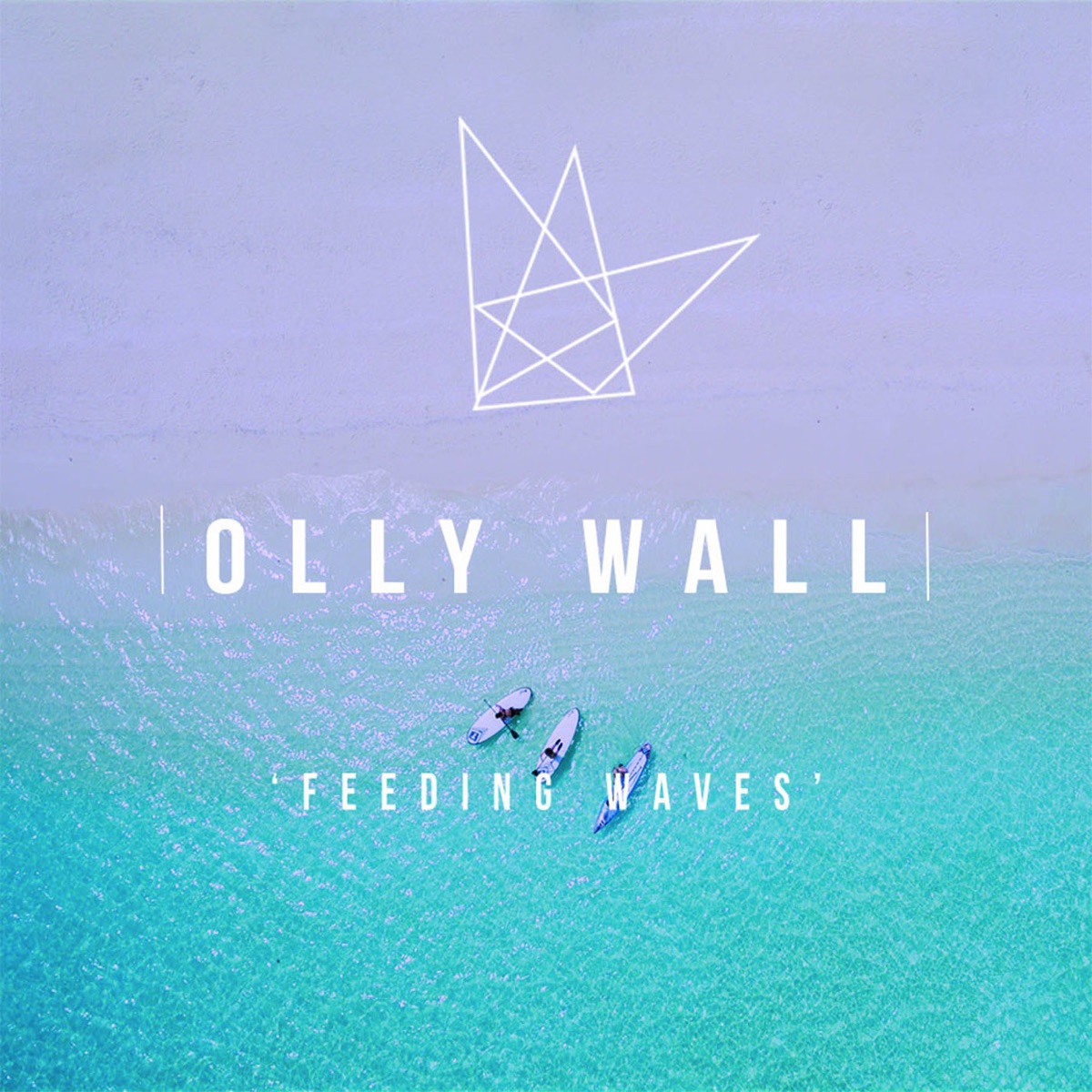 Feeding Waves - Single by Olly Wall album cover