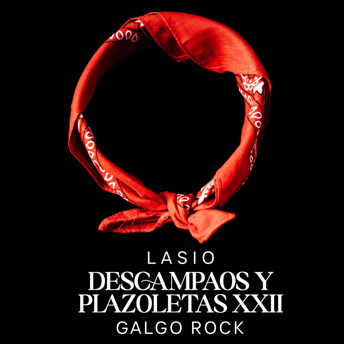 Descampaos y Plazoletas XXII (feat. Galgo Rock) - Single by Lasio album cover