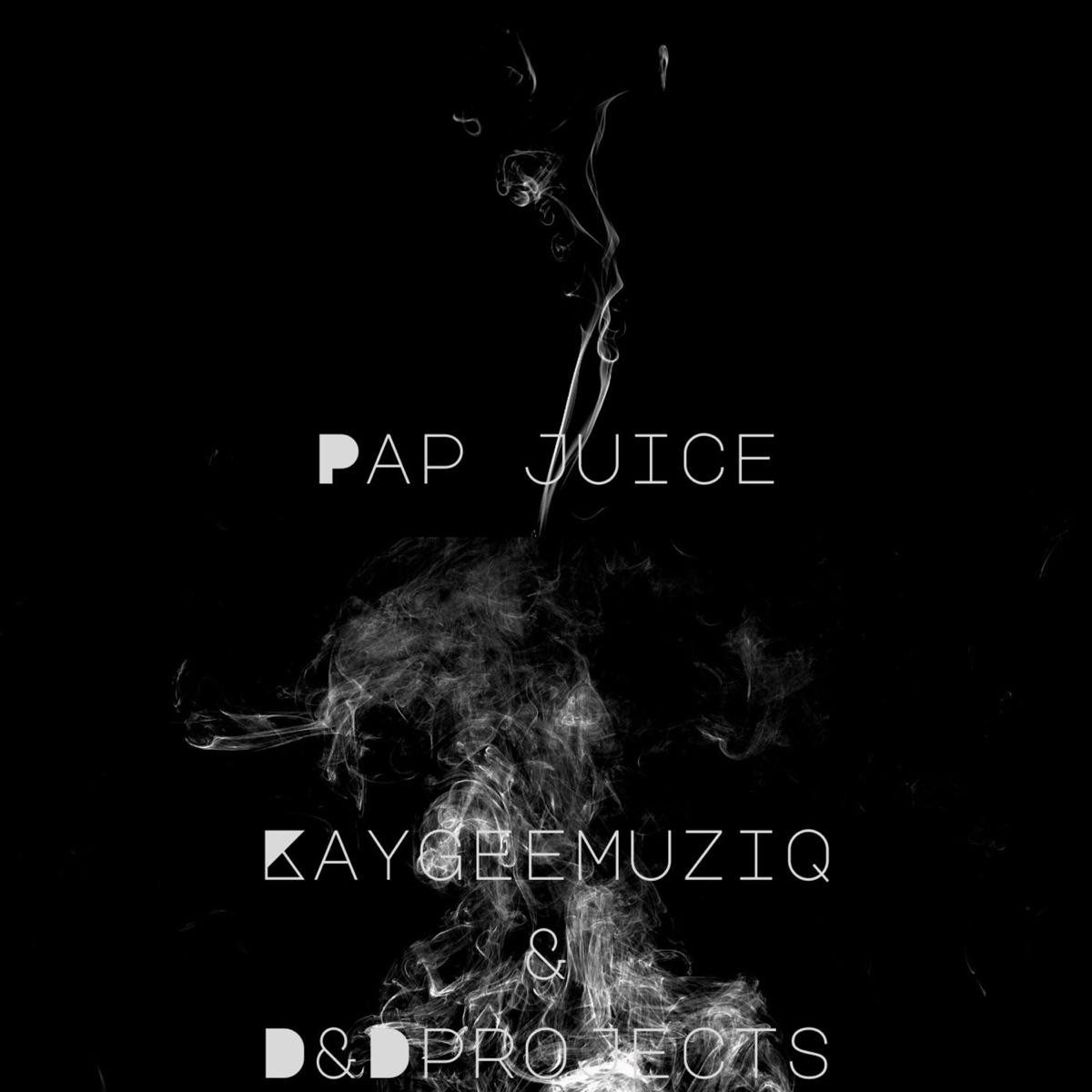 Pap Juice - Single by KayGee Muziq & D&D Projects album cover