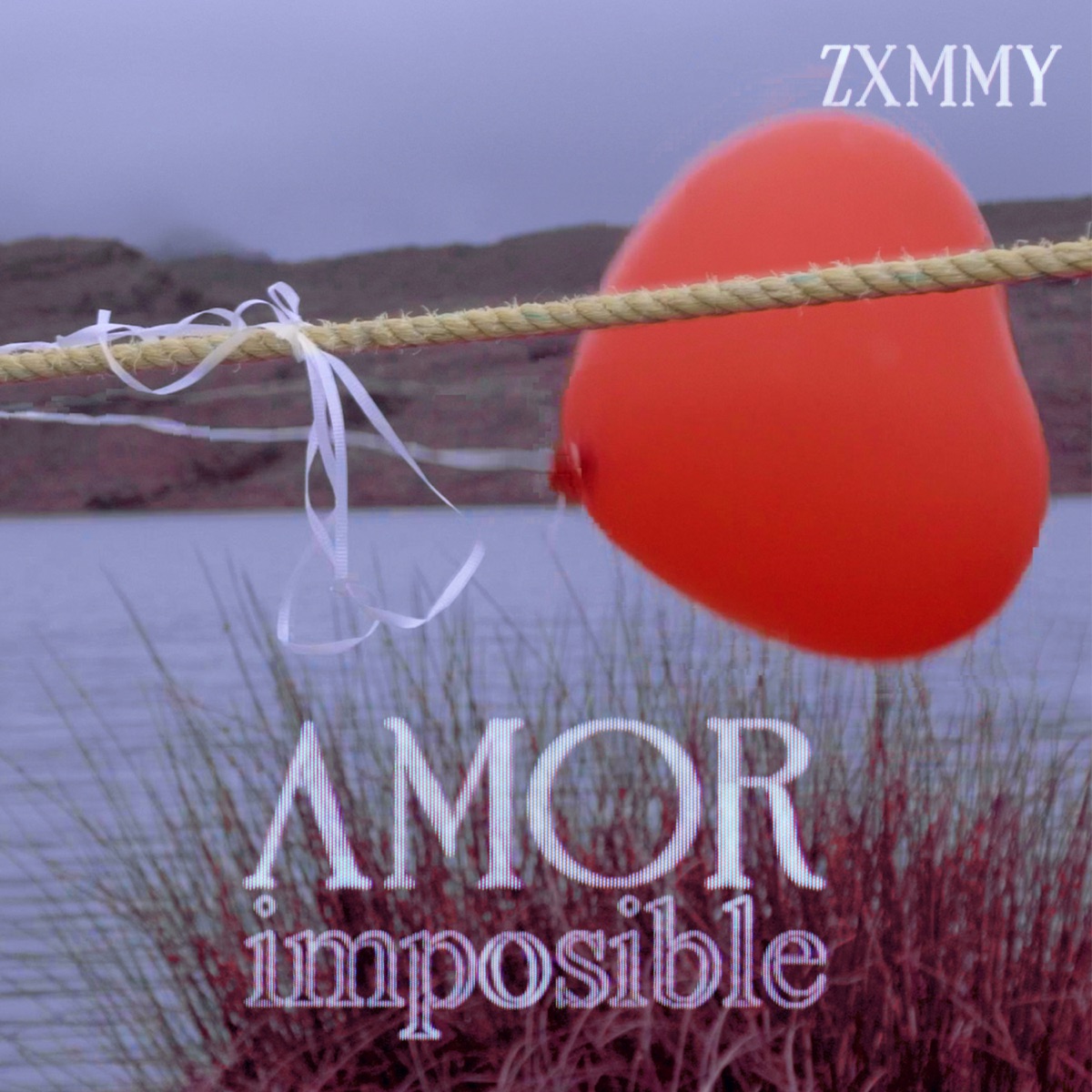 Amor Imposible - Single by ZXMMY & Jbeat album cover