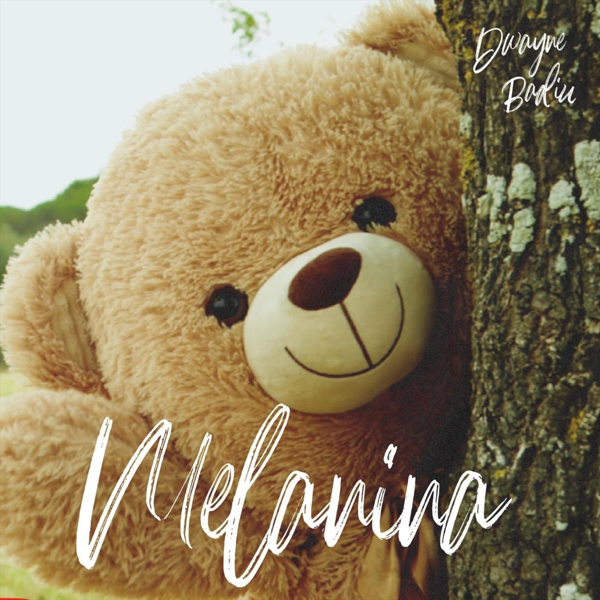 Melanina (feat. Dwayne Spencer & Hngvr) - Single by Badiu Dnd album cover