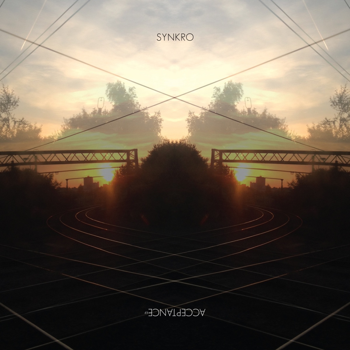 Acceptance by Synkro album cover