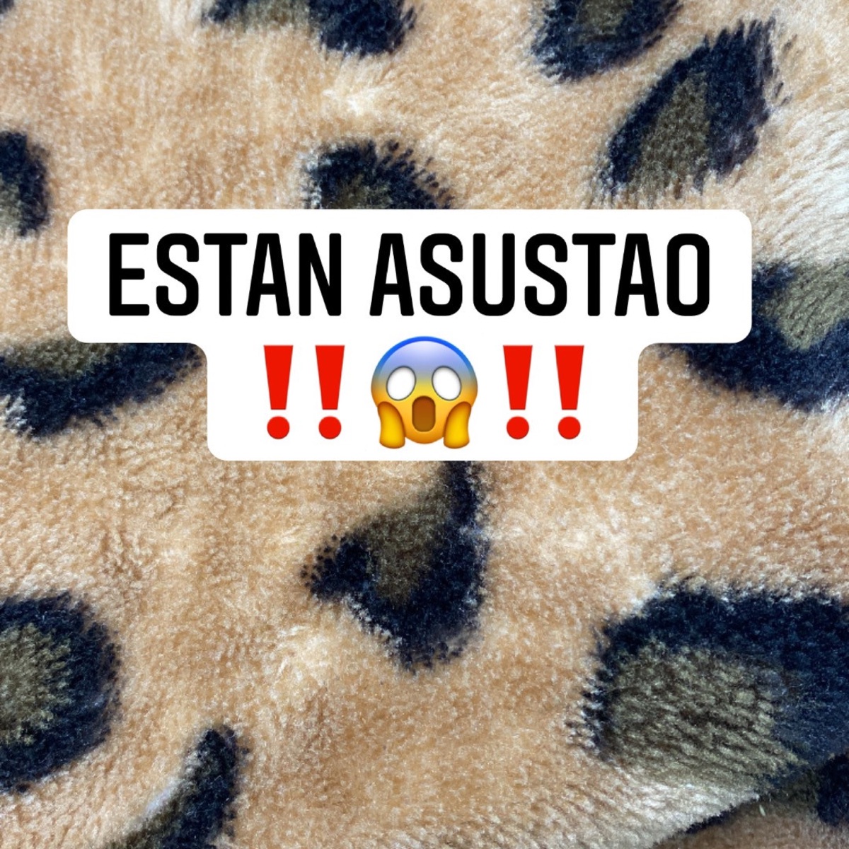 Estan Asustao (feat. Bebo el tio, Mauri & Sangre p.r) - Single by Junny El Iniguadable album cover