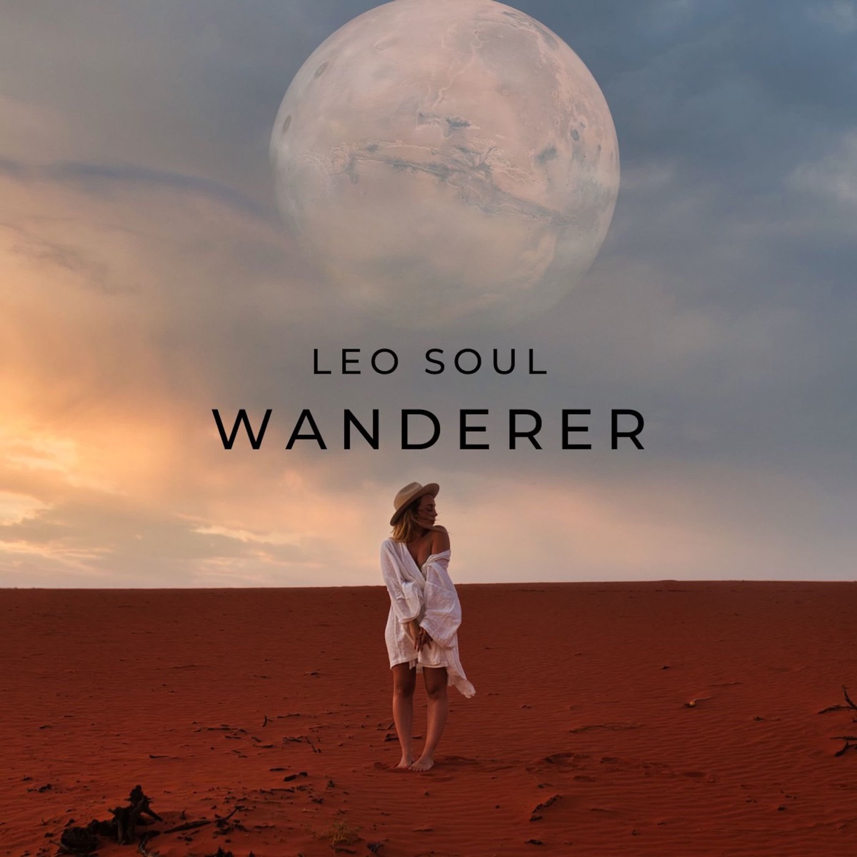 Wanderer by Leo Soul album cover