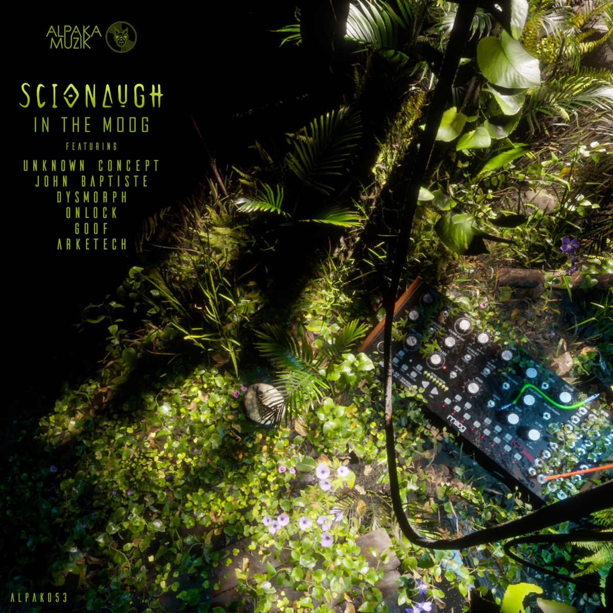 In the Moog by Scionaugh, Unknown Concept & Dysmorph album cover