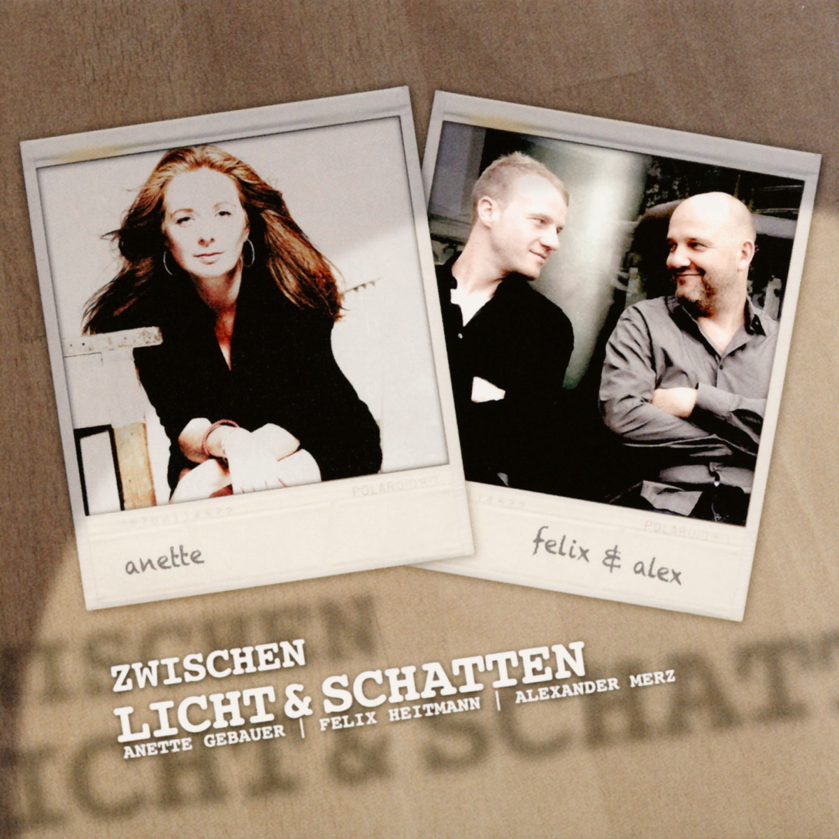 Zwischen Licht & Schatten by Anette Gebauer, Felix Heitmann & Alexander Merz album cover