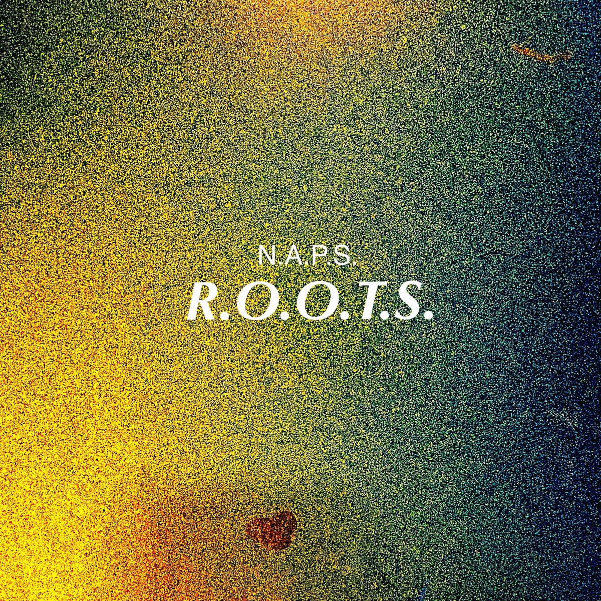 R.O.O.T.S. (feat. CJB, Rain, Kyl, KID Nj, Loe, SXDE, Hoj, Casper Frute & J.Hick$) by Naps album cover