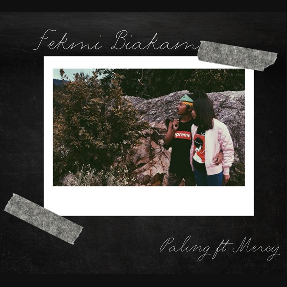 Fekmi Biakam (feat. Mercy) - Single by Paling album cover