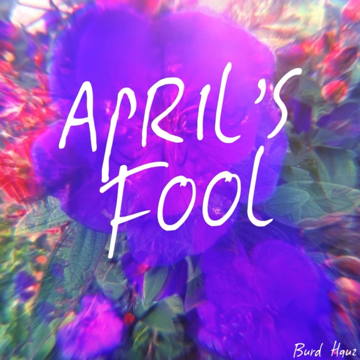 April's Fool - Single by Burd Hauz album cover