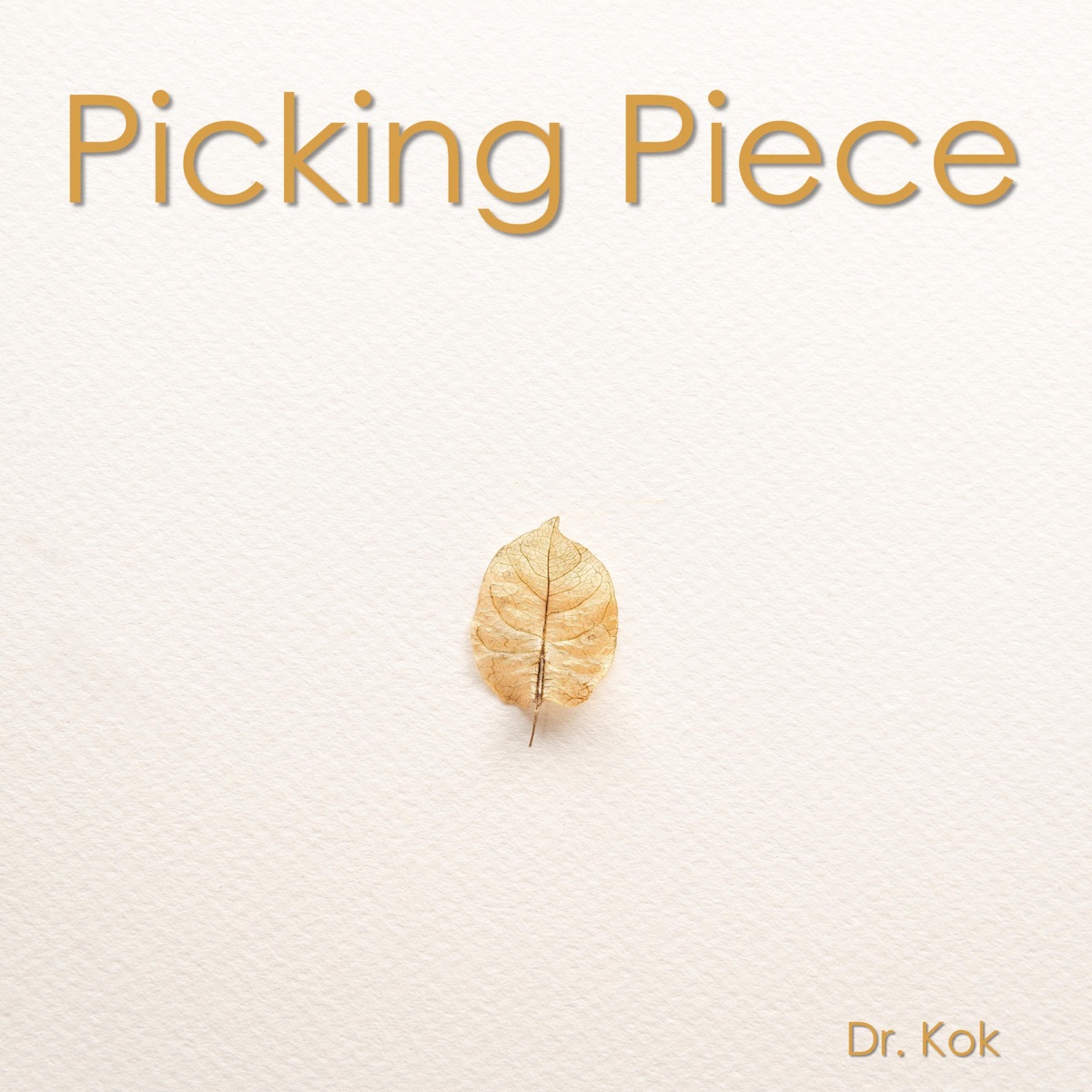 Picking Piece - Single by Dr. Kok album cover