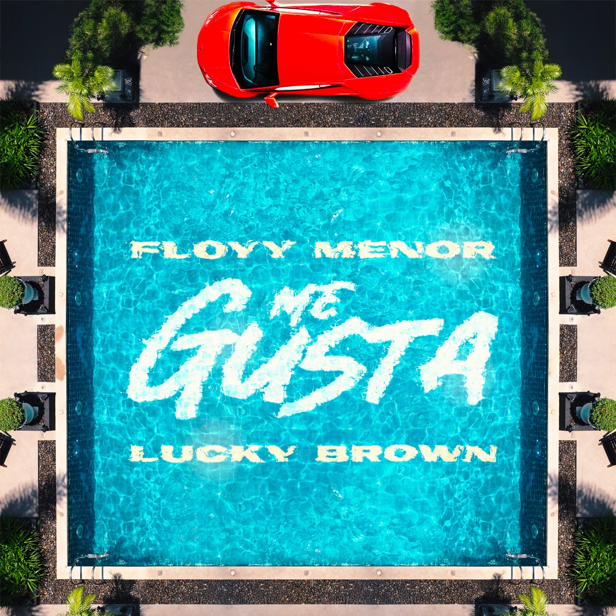 ME GUSTA - Single by FloyyMenor & Lucky Brown album cover