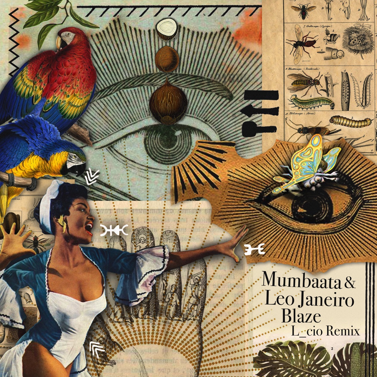 Blaze - Single by Mumbaata & Leo Janeiro album cover