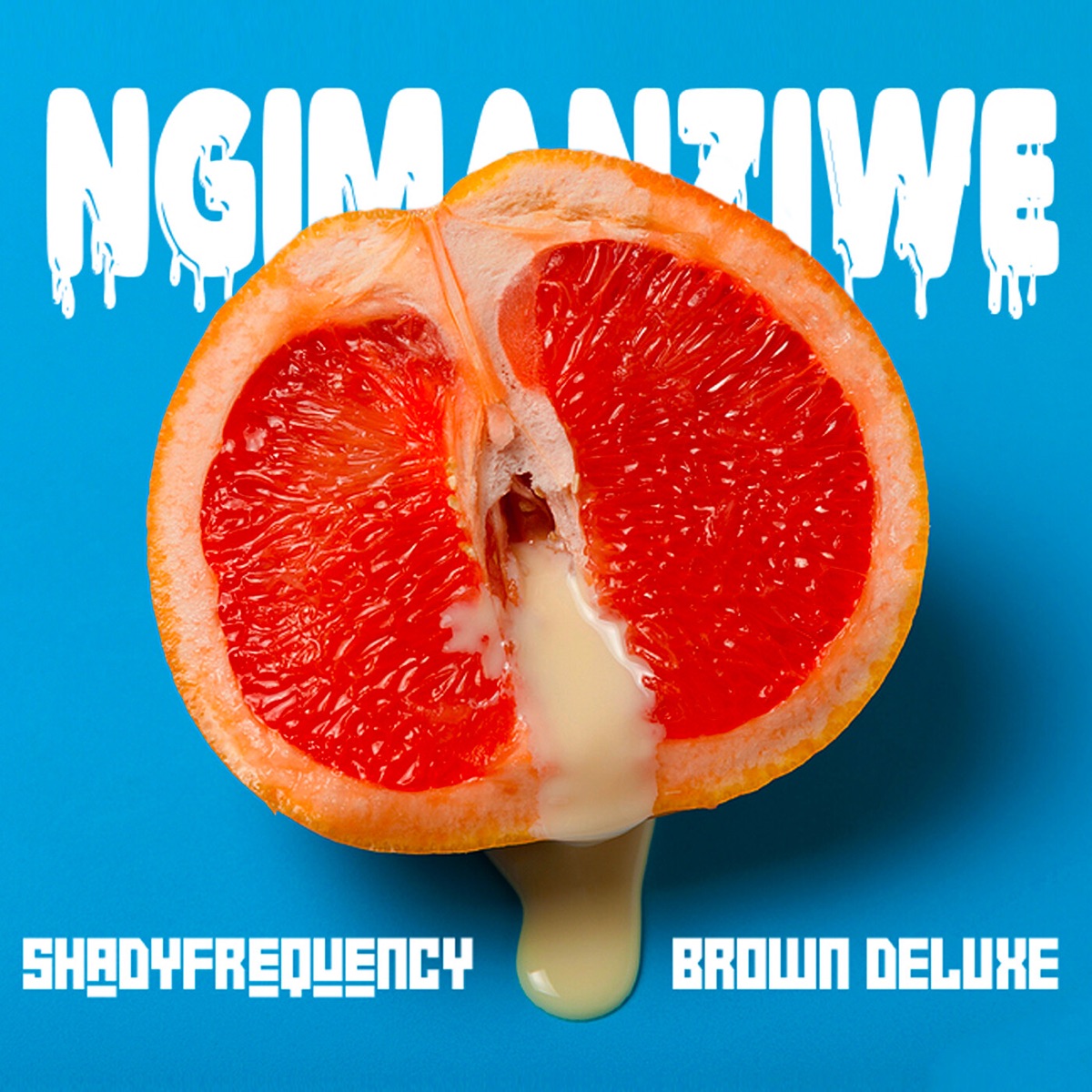 Ngimanziwe (feat. Uncle & Bobo 7Eleven) - Single by Shady Frequency & Brown Deluxe album cover