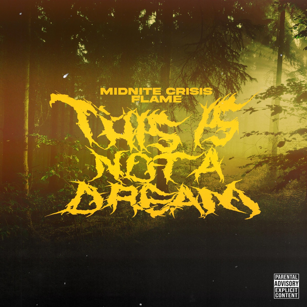 NOT A DREAM (feat. FLAME) - Single by MIDNITE CRISIS album cover