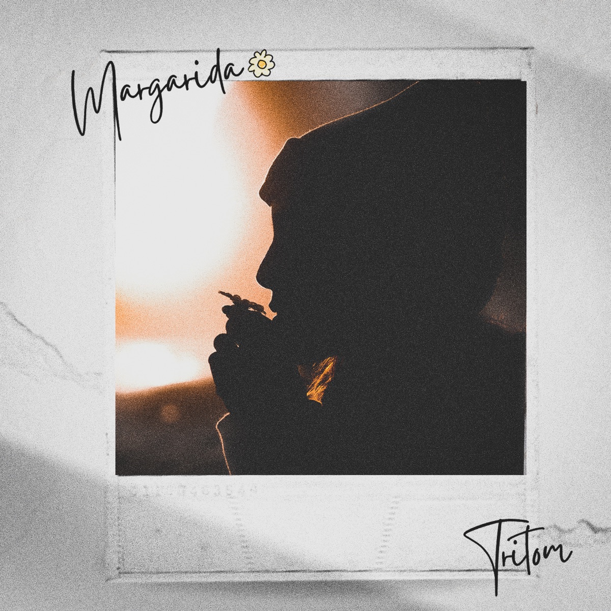 Margarida - Single by Tritom album cover
