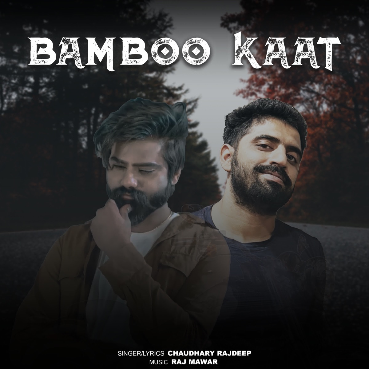 Bamboo Kaat (feat. Ral Mawar) - Single by Chaudhary Rajdeep album cover