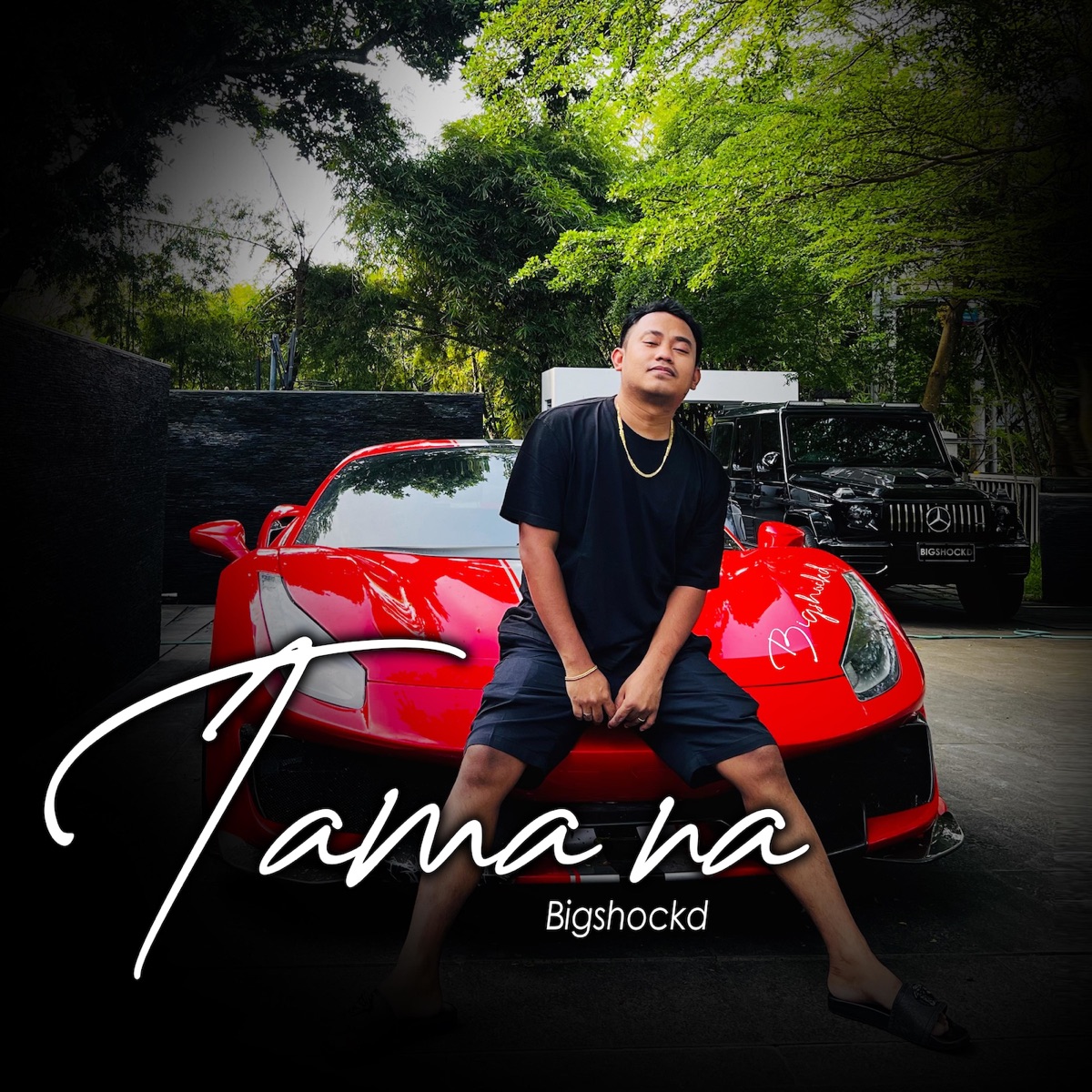Tama Na - Single by Bigshockd album cover