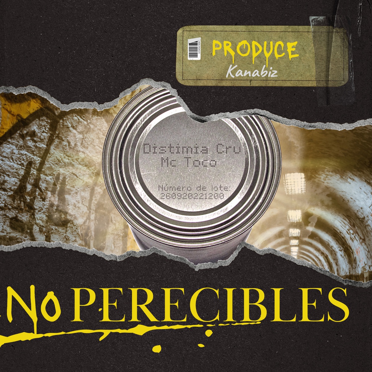 No Perecibles (feat. MC Toco) - Single by Distimia Cru album cover