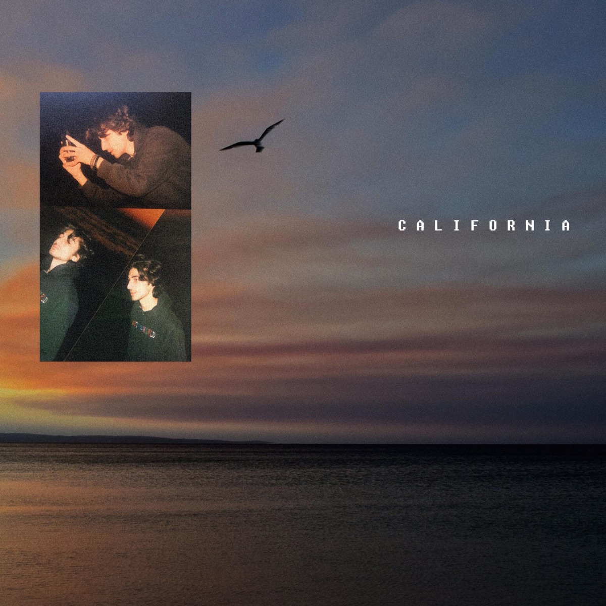 California (feat. Umair) - Single by Anaaz album cover