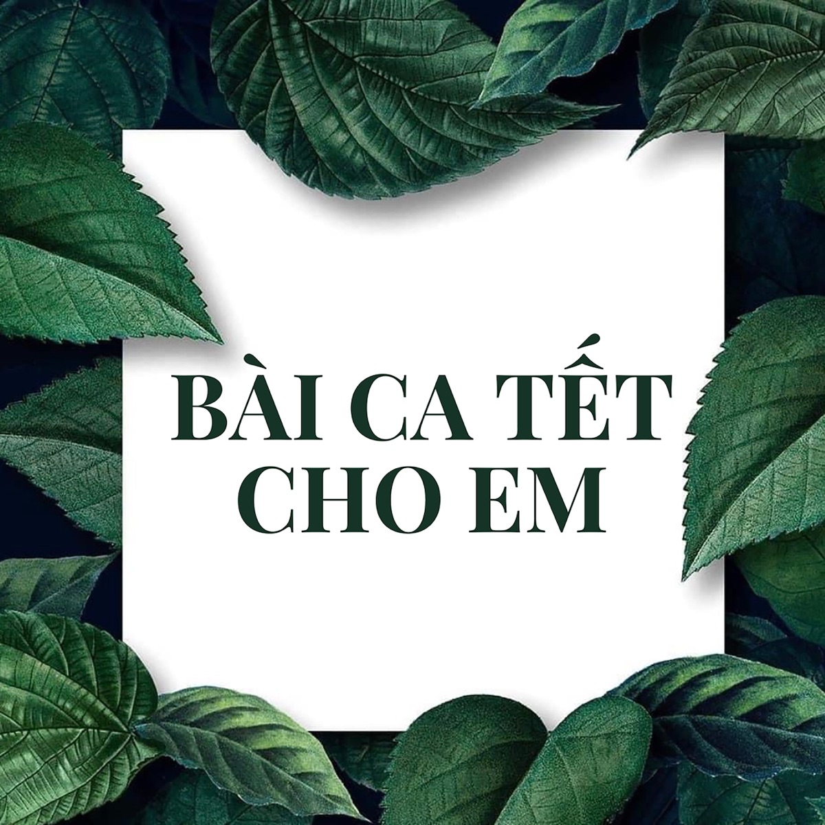 Bài Ca Tết Cho Em - EP by BDMedia album cover