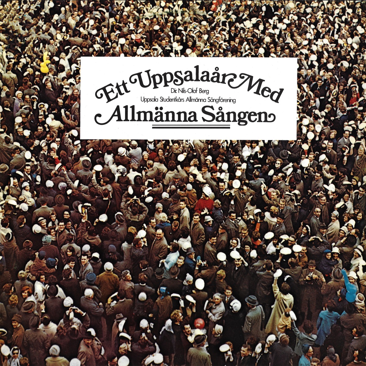 Ett Uppsalaår med Allmänna Sången by Allmänna Sången album cover