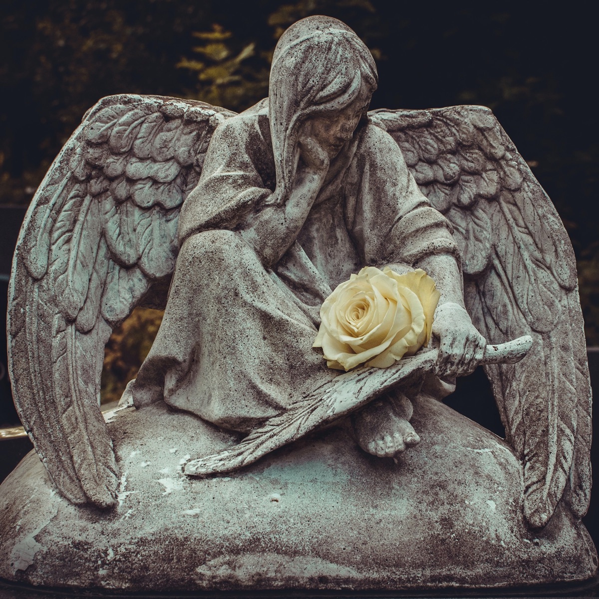 Angel - Single by Kazer album cover