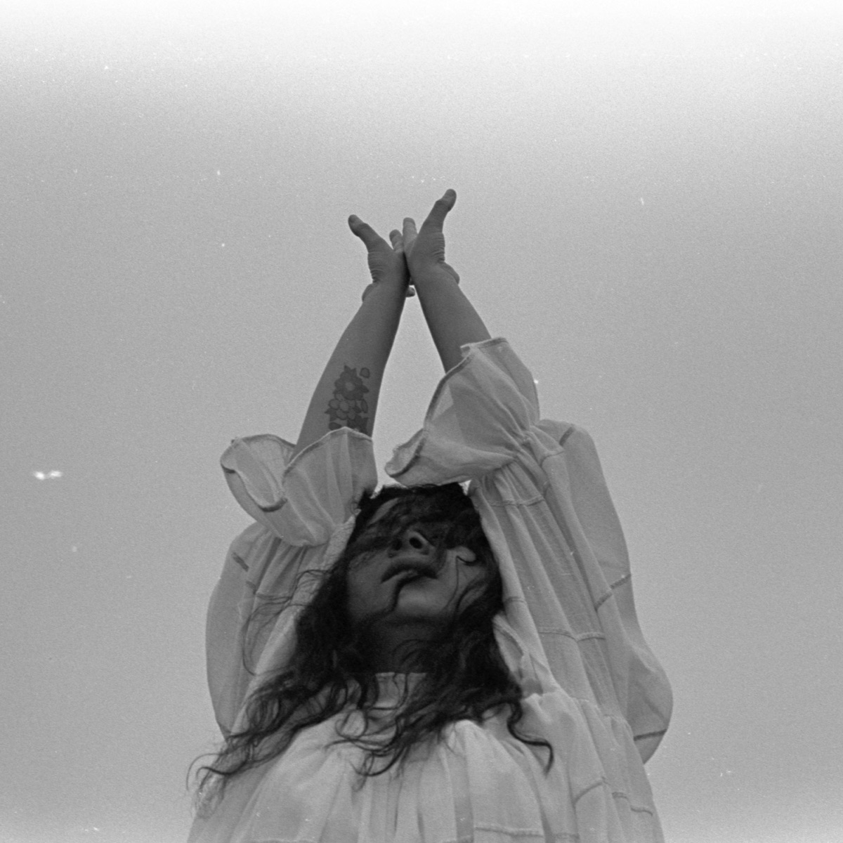 Marchita by Silvana Estrada album cover