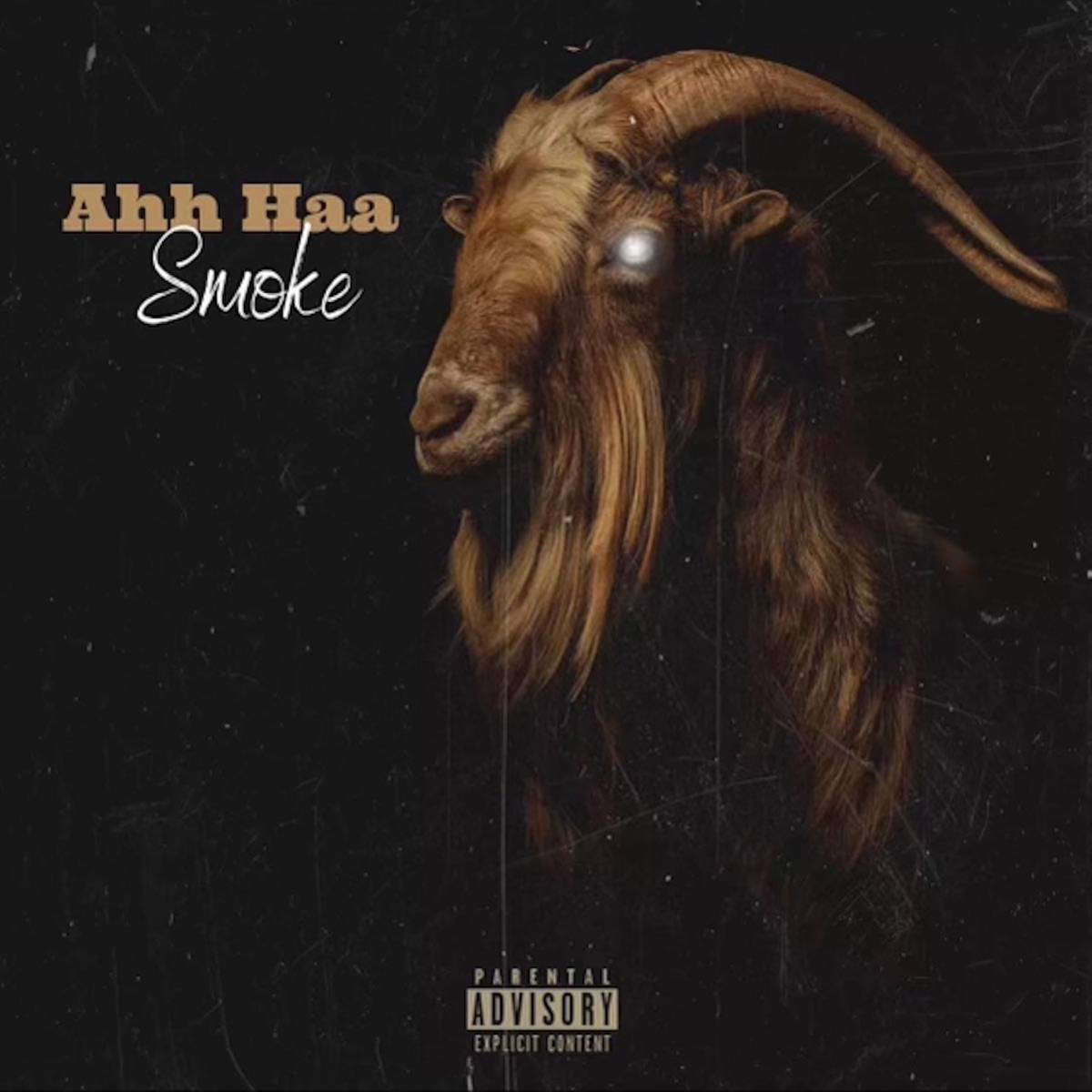 Ahh Haa - Single by Smoke & Field Mob album cover