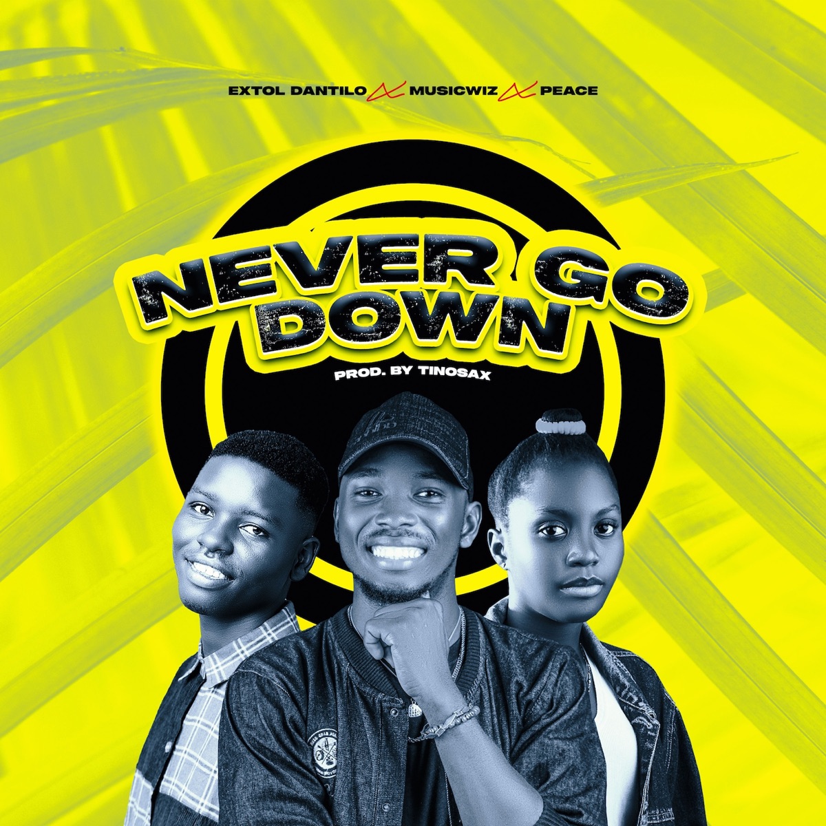 Never Go Down - Single by Extol Dantilo, Musicwiz & Peace album cover
