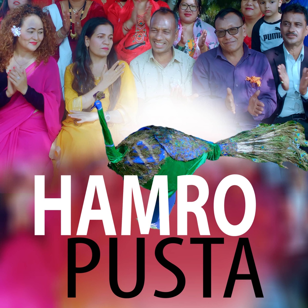 Hamro Pusta (feat. Bidur, Resham, Geeta, Sita & Parbati) - EP by Nabaraj Ghorasaini album cover