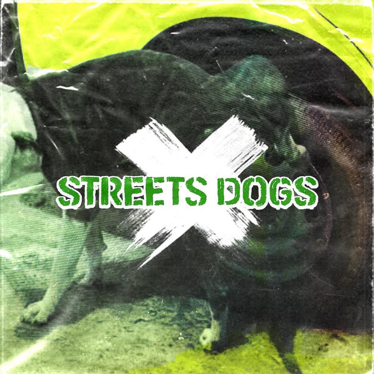 Streets Dogs (feat. DJ DMT) - Single by Claudio Bastardo, BVDDY & Eduaz album cover