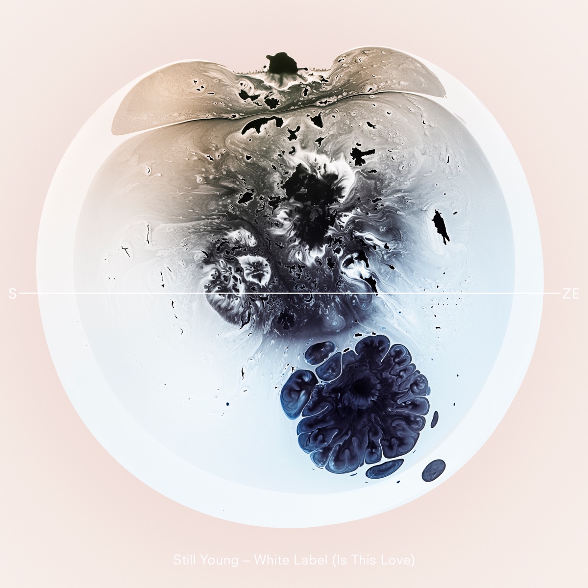 White Label (Is This Love) - Single by Still Young album cover
