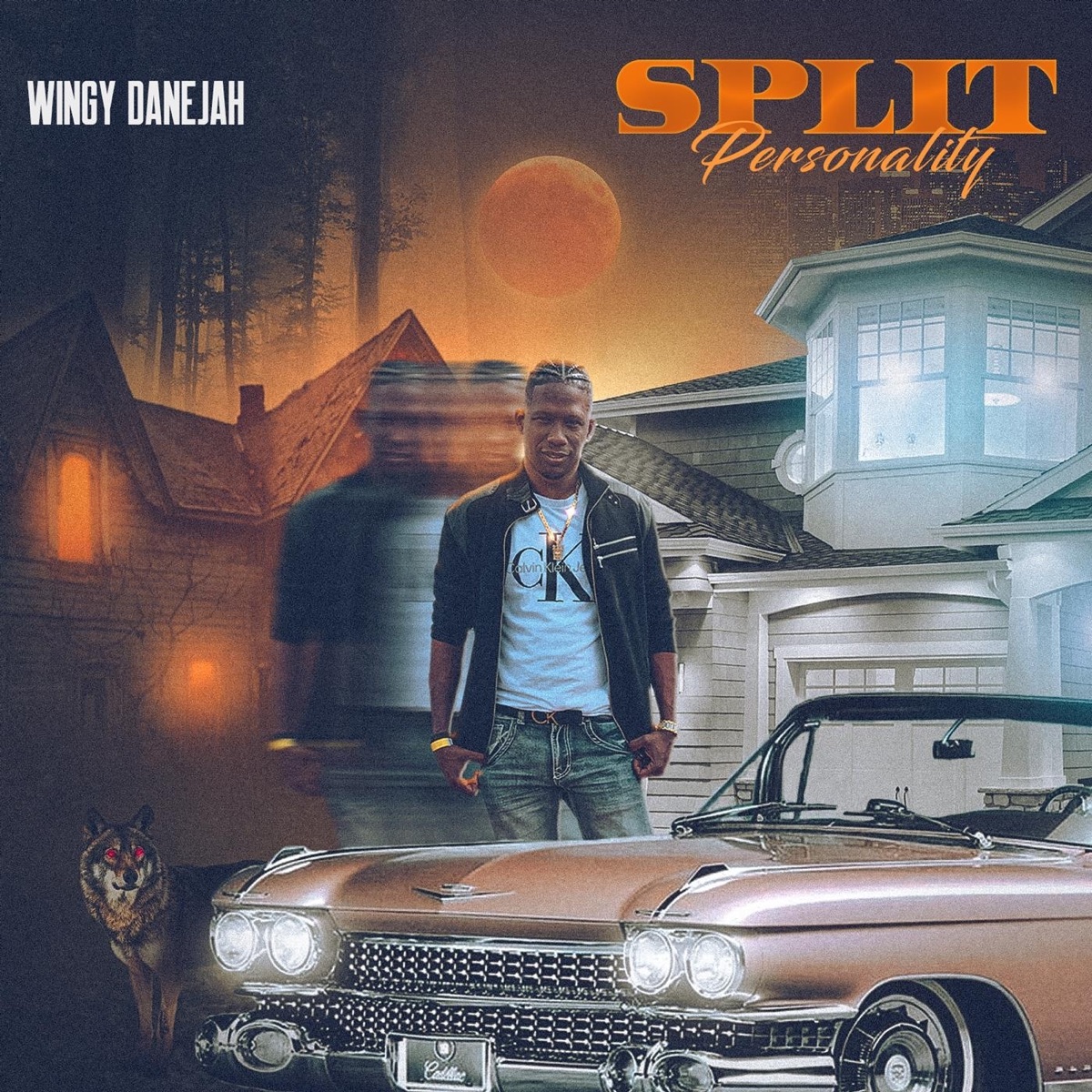 Split Personality - Single by Wingy Danejah album cover