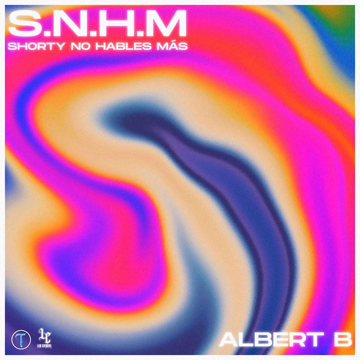 S.N.H.M - Single by Albert B album cover