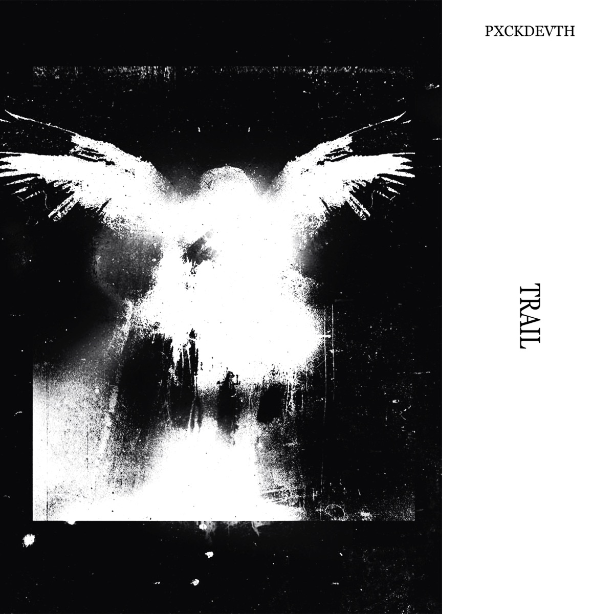 TRAIL - Single by PXCKDEVTH album cover