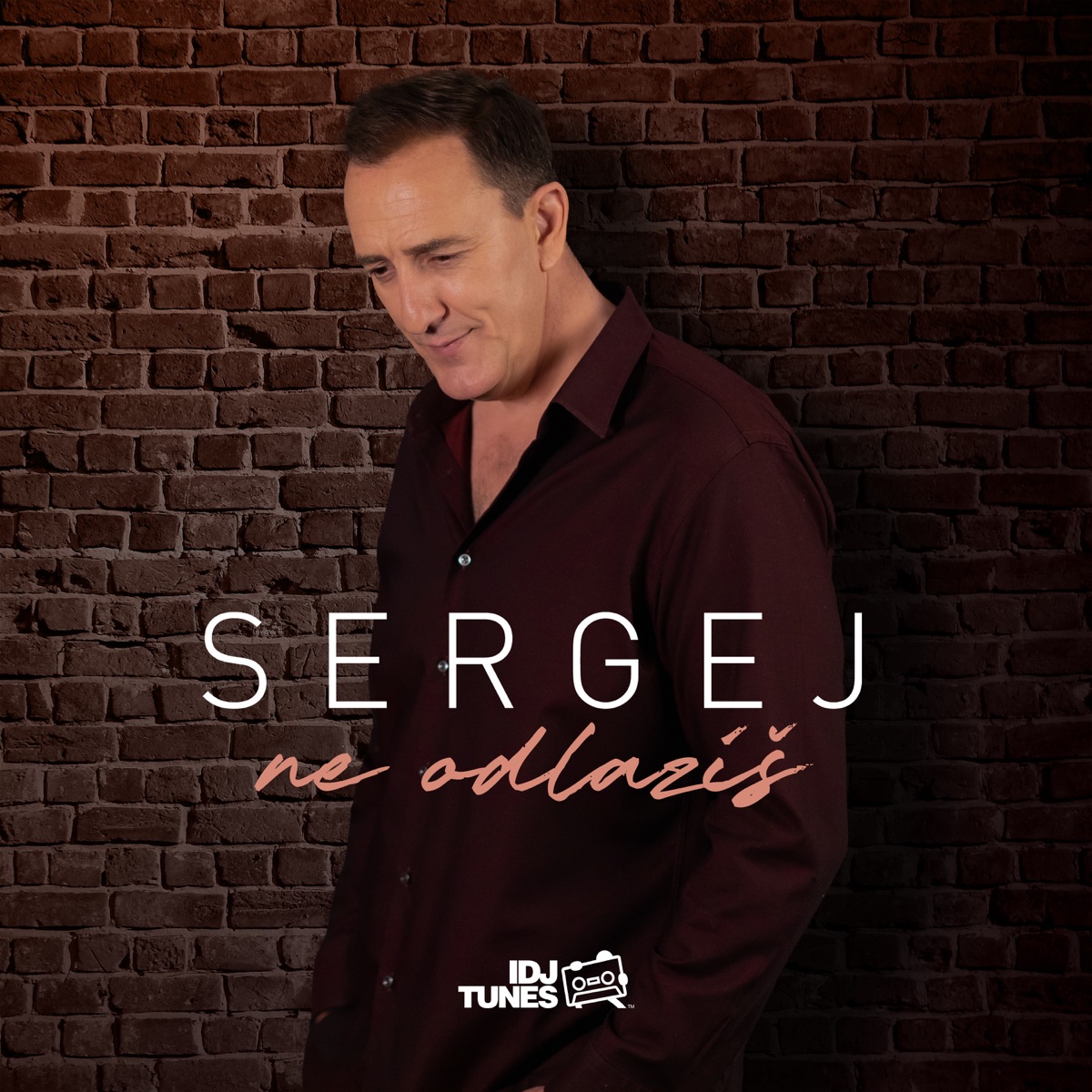 Ne Odlaziš - Single by Sergej Cetkovic album cover