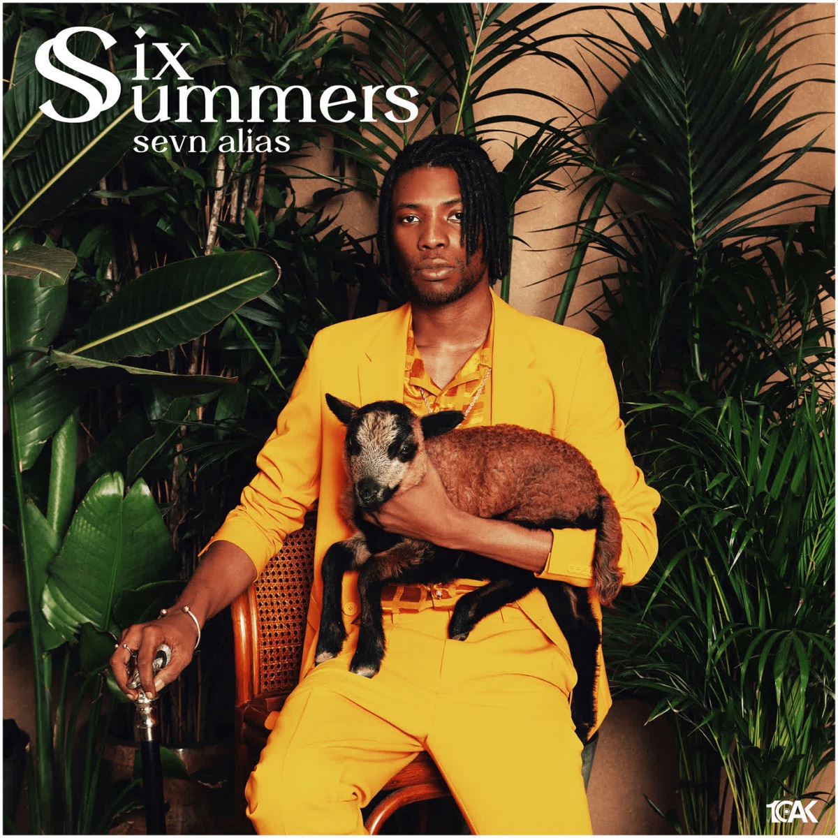 Six Summers (feat. Idaly, Kevin, Cor, Oomto, Rich Kalashh, Boechi, Yeyo Sossa, Qlas & Blacka & Navi) by Sevn Alias album cover