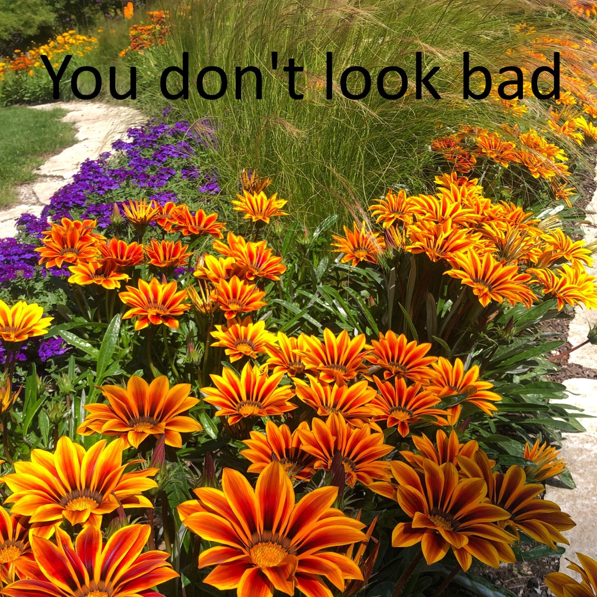 You Don't Look Bad - Single by Stajo CAB album cover