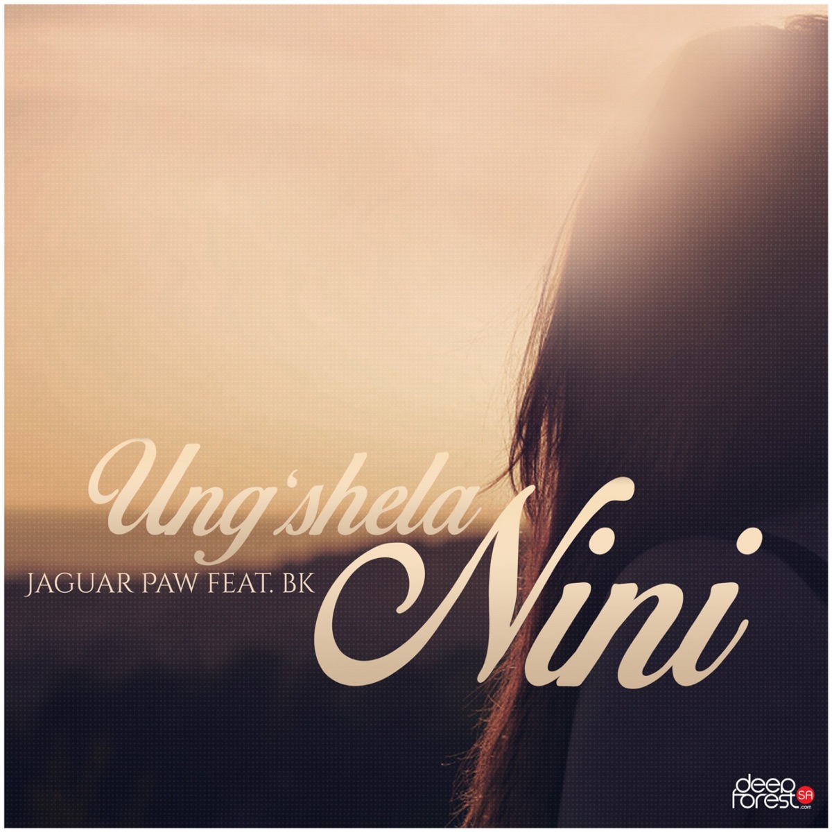 Ungshela Nini (feat. BK) - Single by Jaguar Paw album cover
