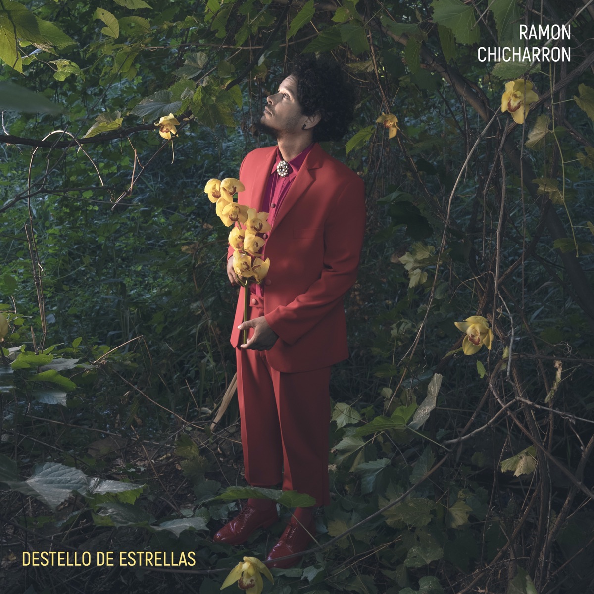 Destello de estrellas by Ramon Chicharron album cover