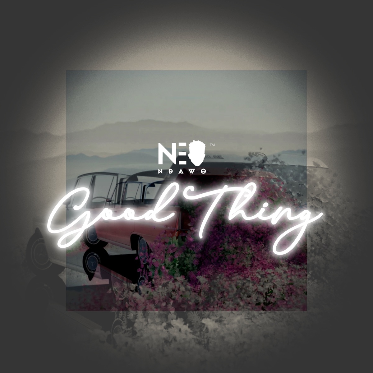 Good Thing - Single by Neo Ndawo album cover