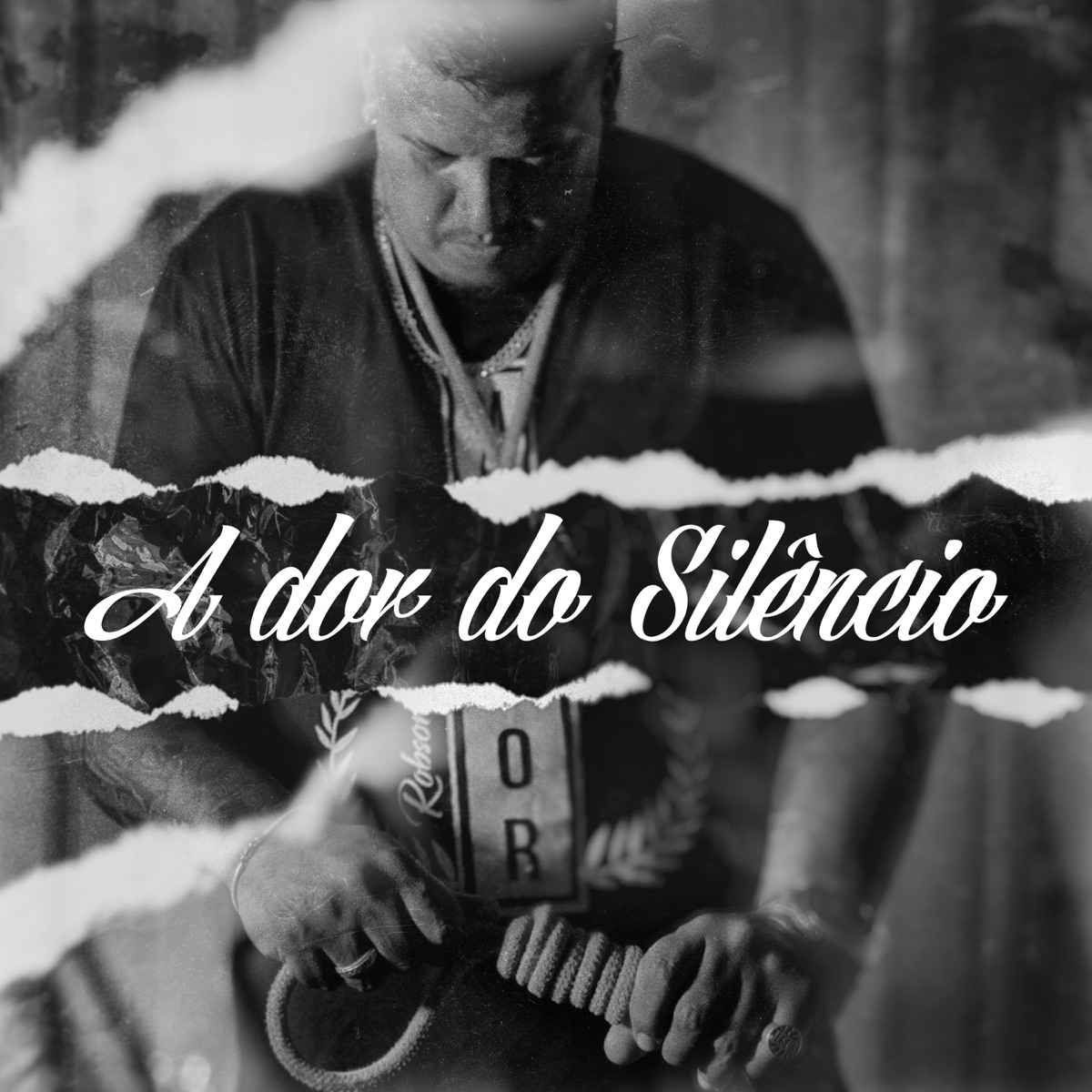 A Dor do Silêncio - Single by Robson Gomes album cover