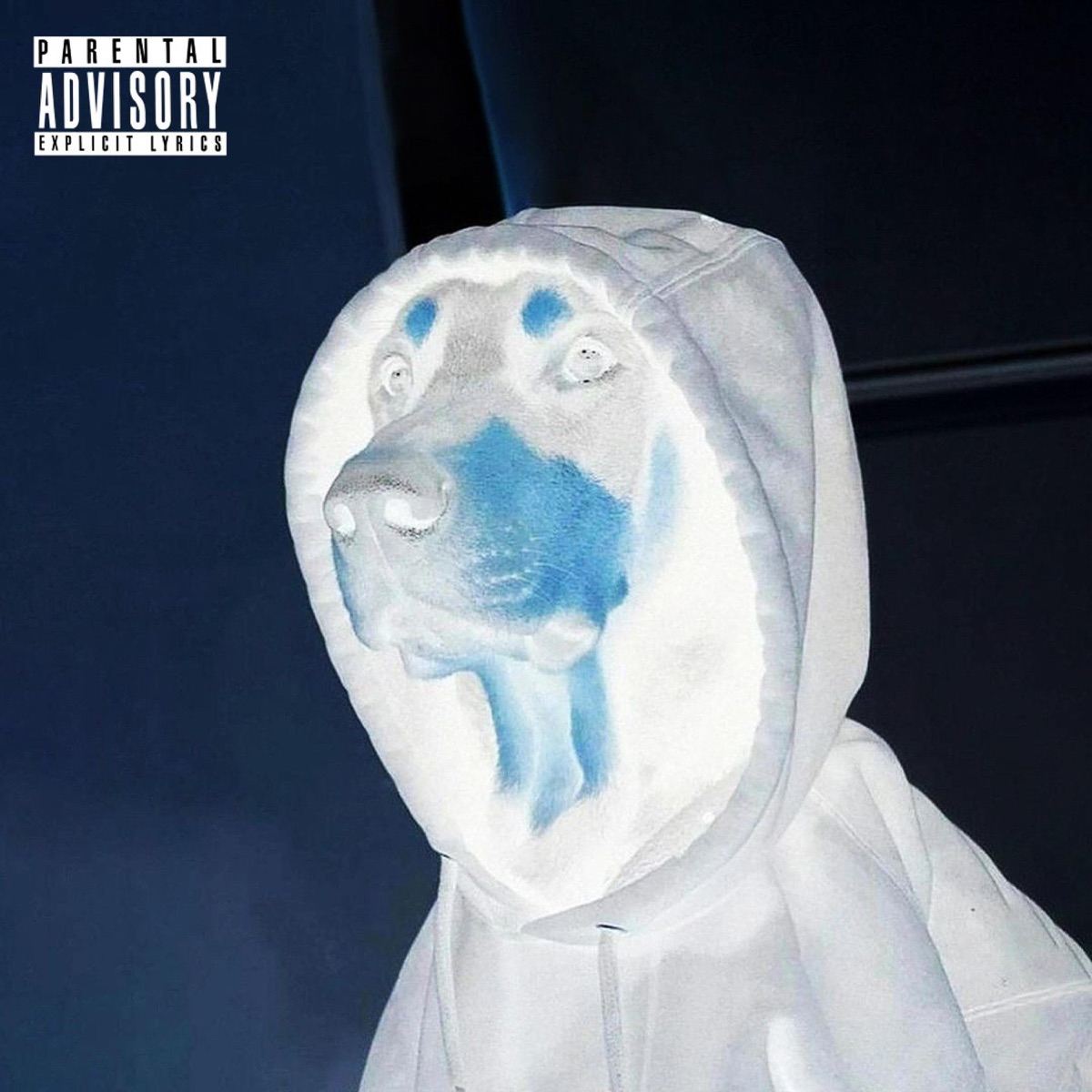 Crashout - Single by panksi album cover