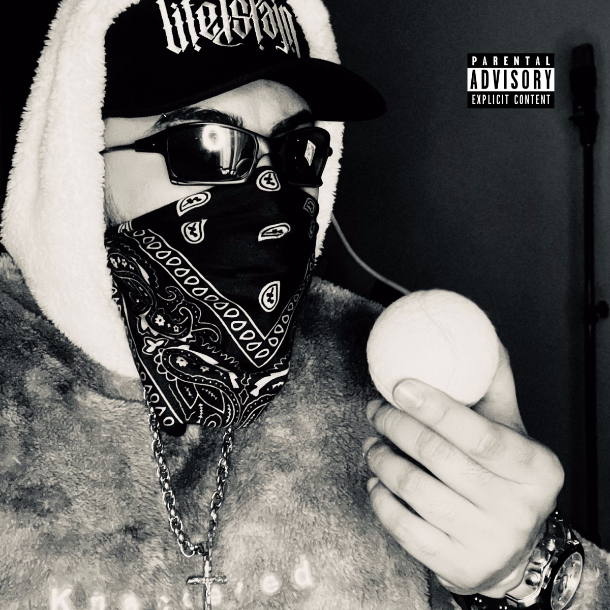 Indomável - Single by Bm album cover