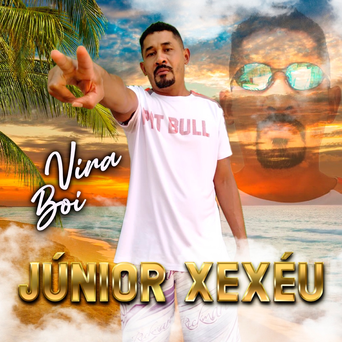 Vira Boi - Single by Junior Xexéu album cover