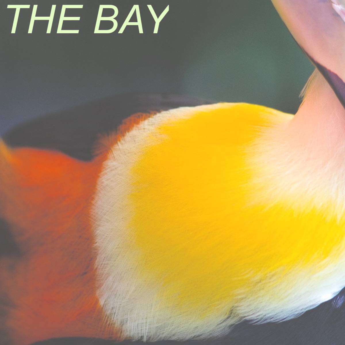 The Bay - Single by Seaspray & Guzimi album cover