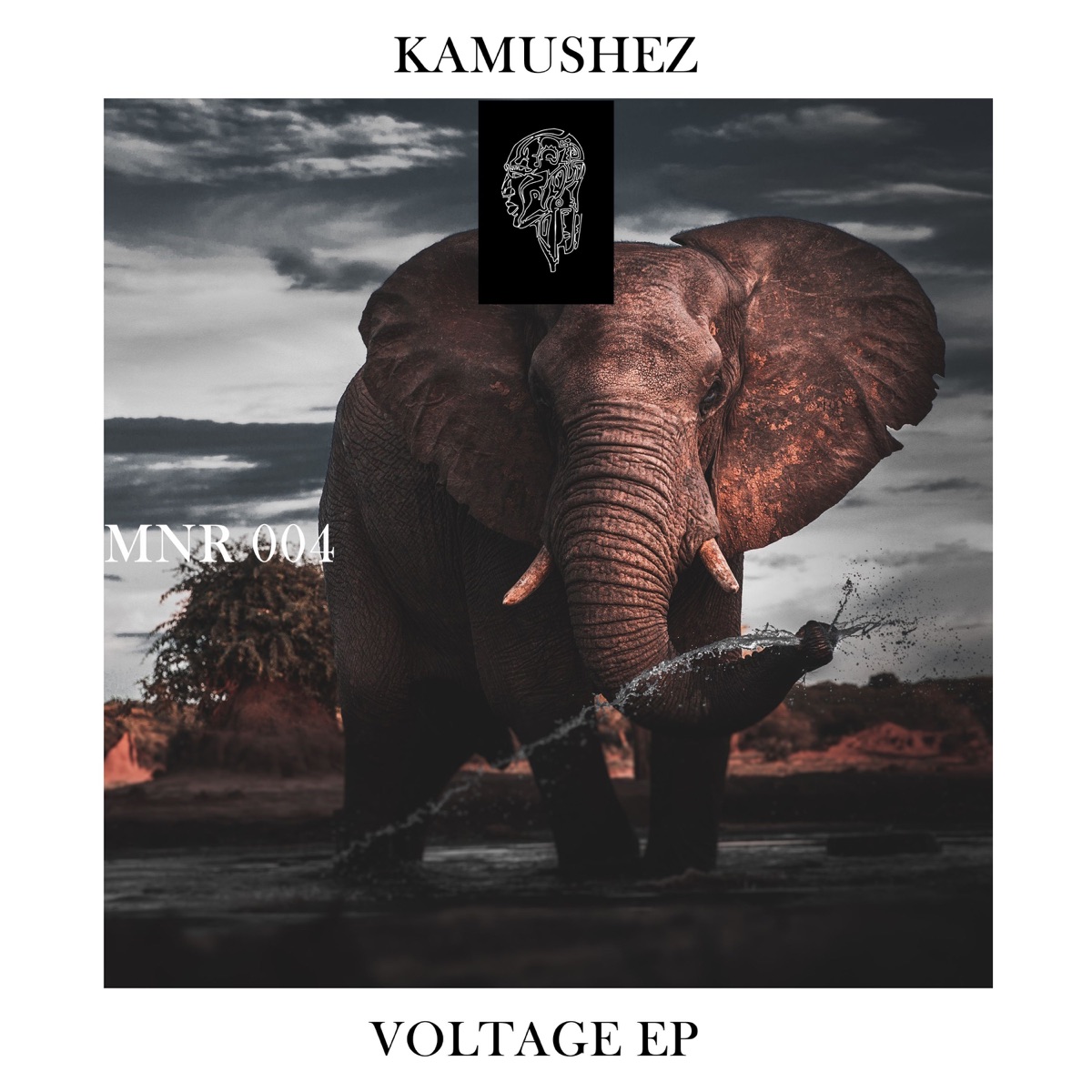 Voltage - EP by KAMUSHEZ album cover